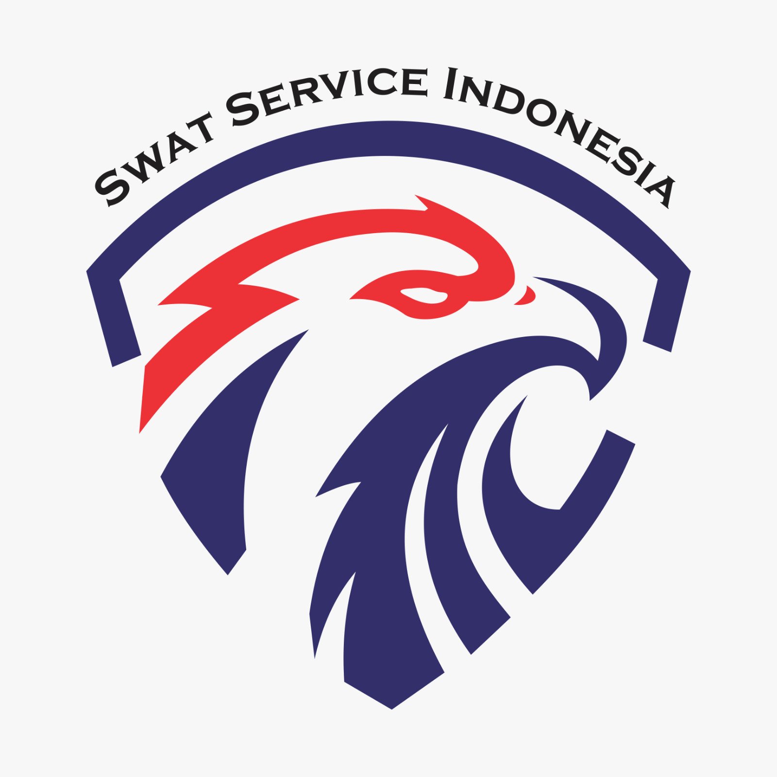 Logo SSI